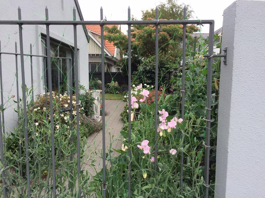Garden Bed And Breakfast Крайстчърч Екстериор снимка