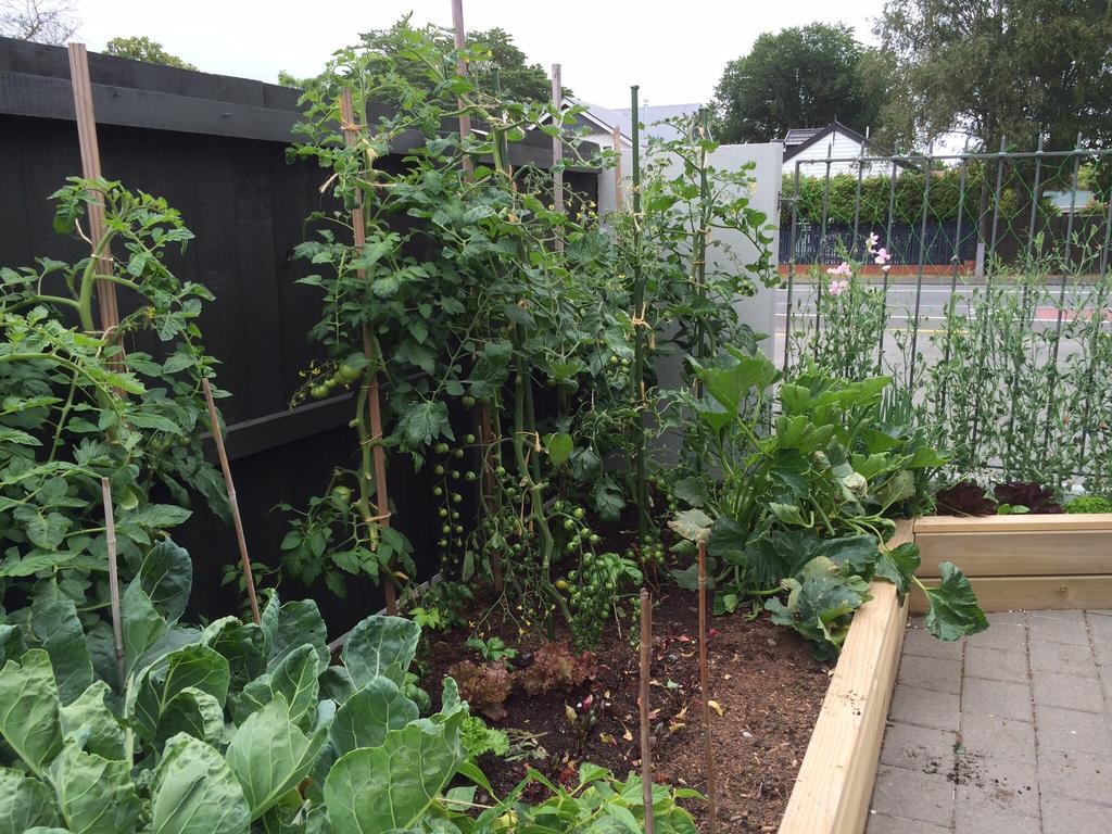 Garden Bed And Breakfast Крайстчърч Екстериор снимка