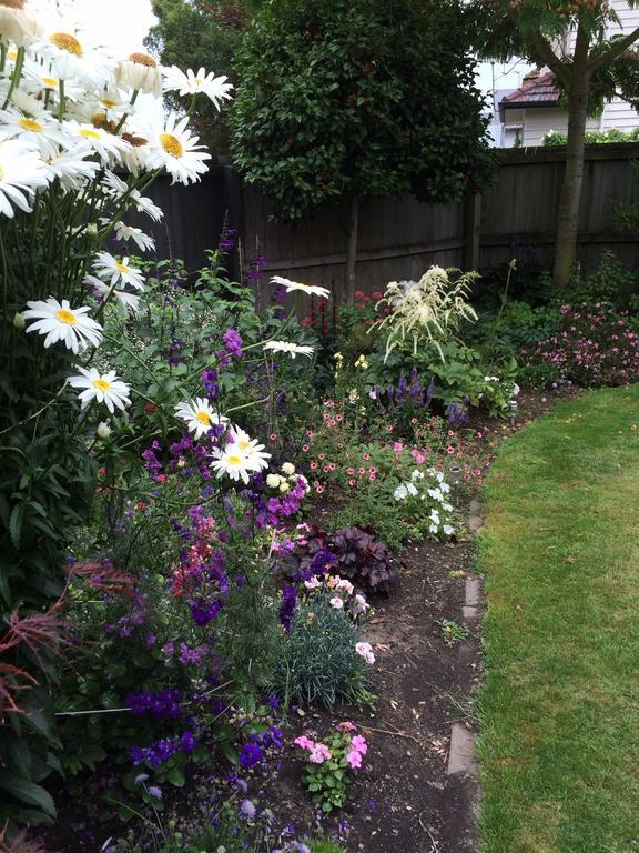 Garden Bed And Breakfast Крайстчърч Екстериор снимка