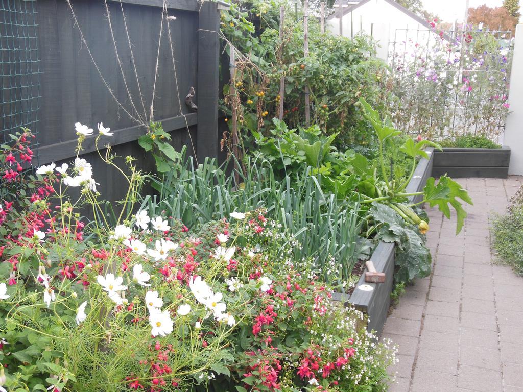 Garden Bed And Breakfast Крайстчърч Екстериор снимка