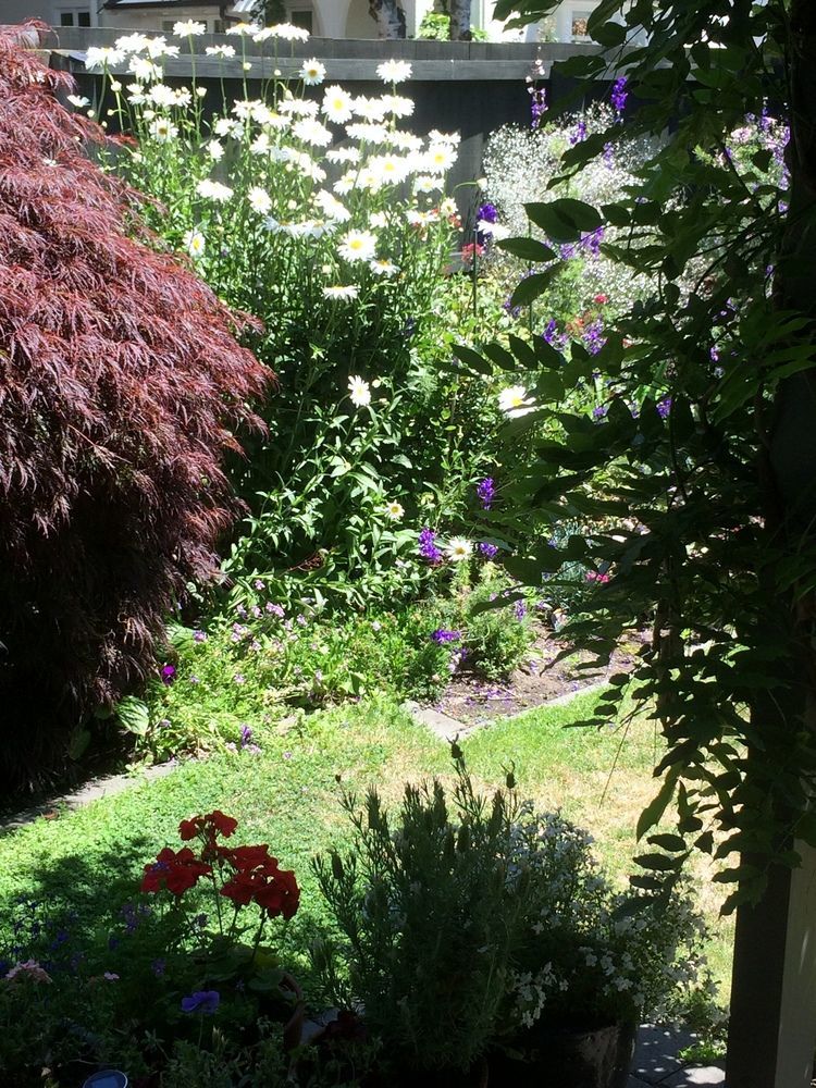 Garden Bed And Breakfast Крайстчърч Екстериор снимка