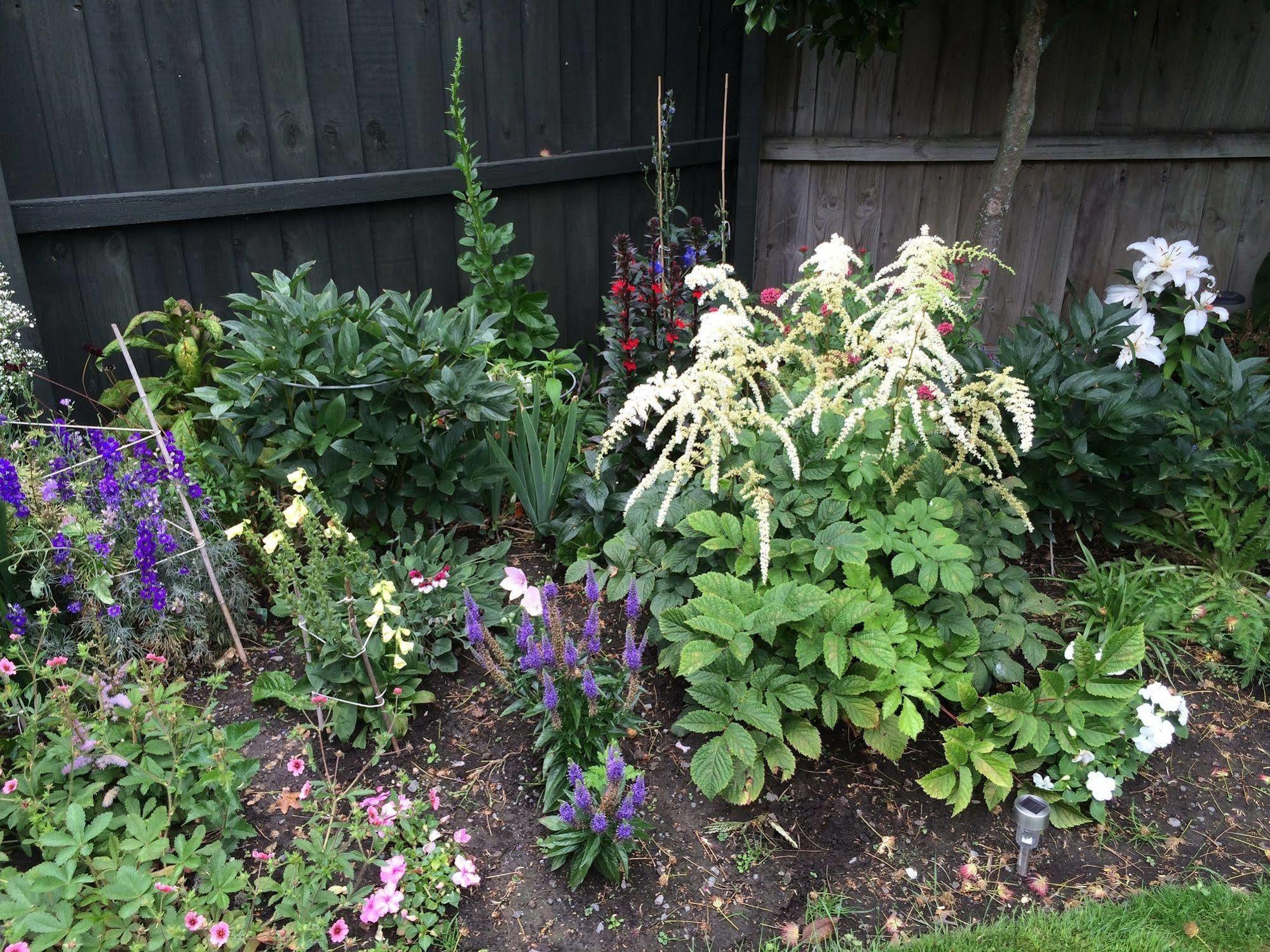 Garden Bed And Breakfast Крайстчърч Екстериор снимка