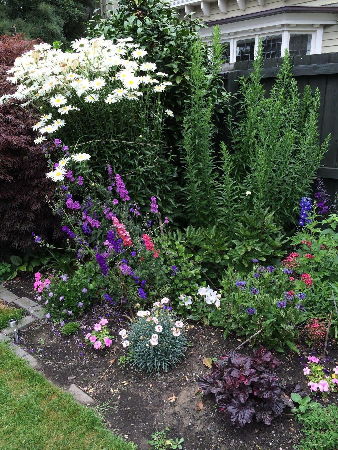 Garden Bed And Breakfast Крайстчърч Екстериор снимка